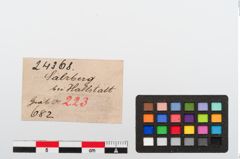 Etiketten zu Glasringperle (NHMW-PRAE-024368)